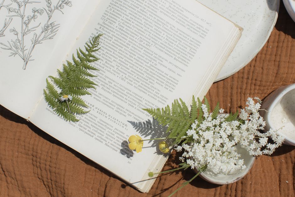 Aesthetic flat lay featuring an open book with pressed flowers and ferns, adding a natural touch.